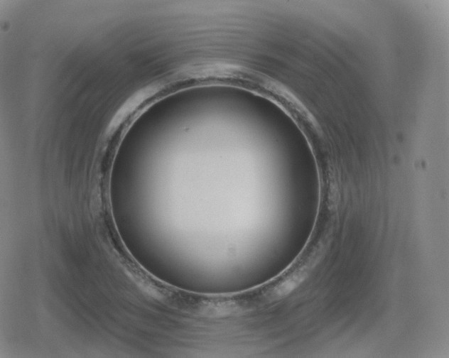 X0000080720978200612151154