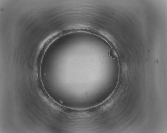 X0000080720979200612151154