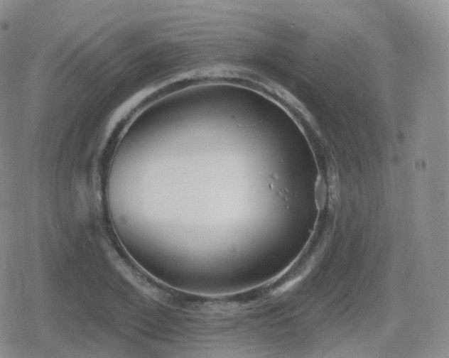 X0000080720981200612151154