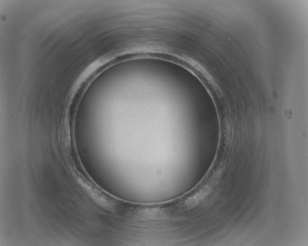 X0000080720982200612151154