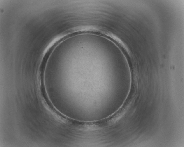 X0000080720983200612151154