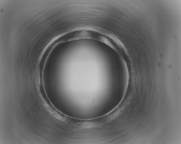 X0000080720984200612151154