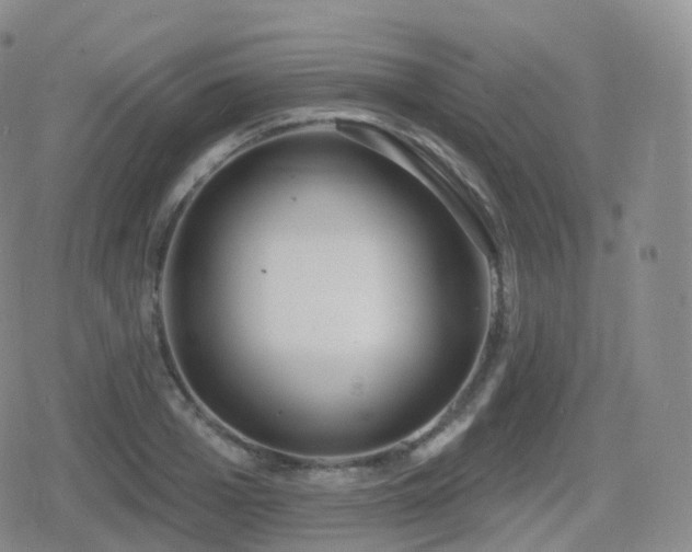 X0000080720985200612151154