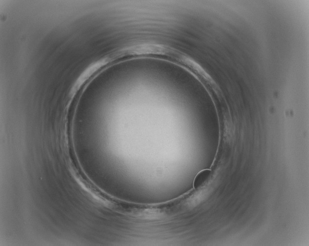 X0000080720986200612151154