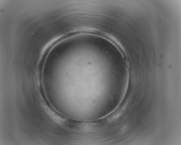 X0000080720987200612151154