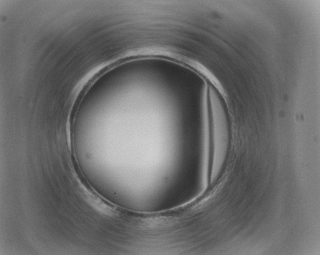 X0000080720988200612151154