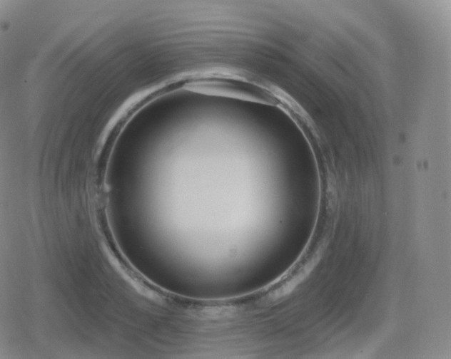 X0000080720989200612151154