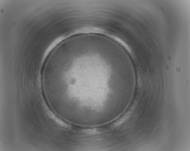 X0000080720990200612151154