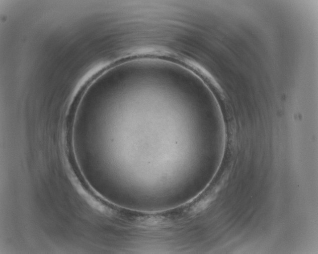 X0000080720991200612151154