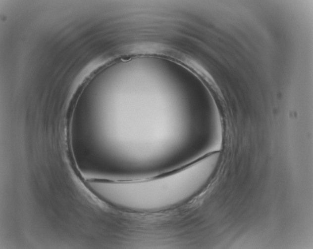 X0000080720992200612151154