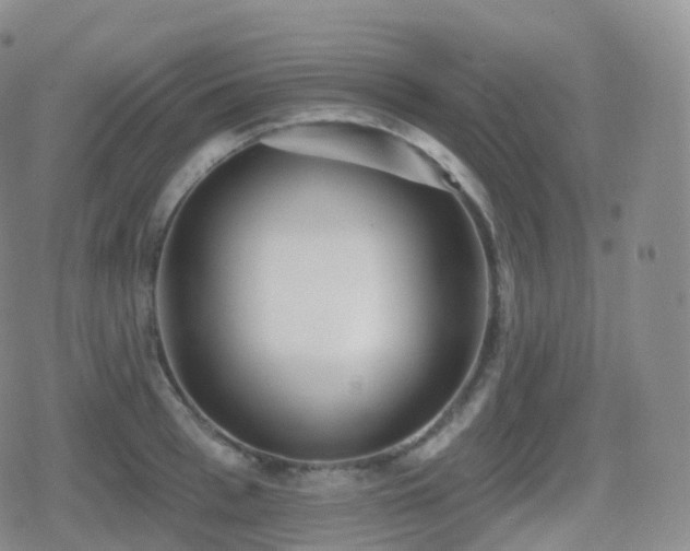 X0000080720993200612151154