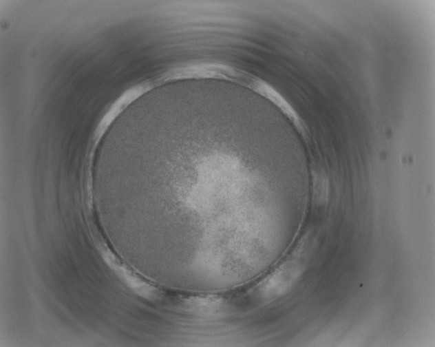 X0000080720994200612151154