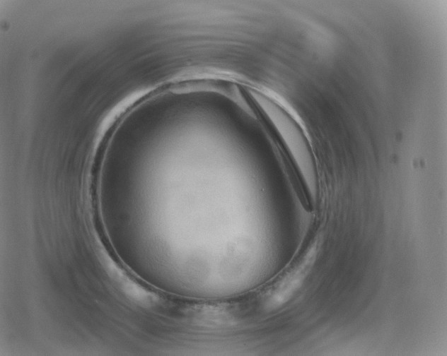 X0000080720995200612151154