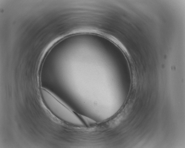 X0000080720996200612151154