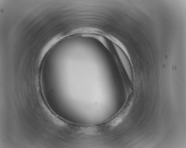 X0000080720997200612151154