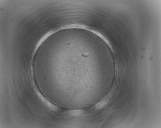 X0000080720998200612151154