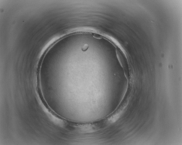 X0000080720999200612151154