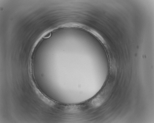 X0000080721000200612151154