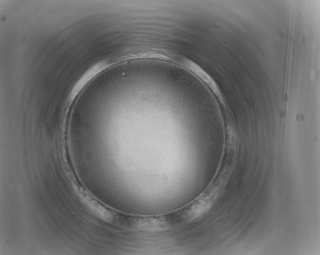 X0000080721002200612151154