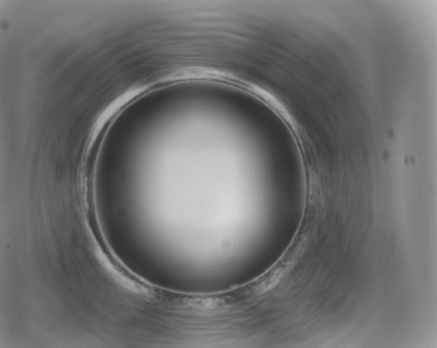 X0000080721003200612151154