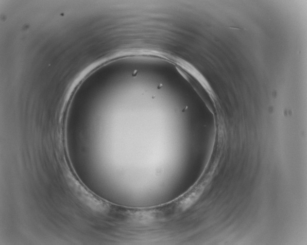 X0000080721004200612151154