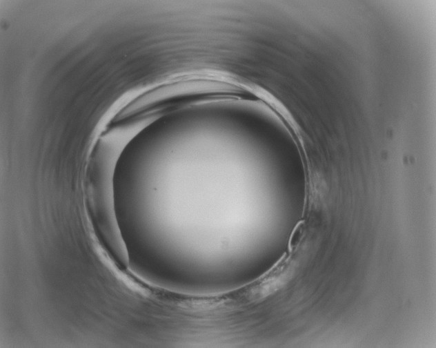 X0000080721005200612151154