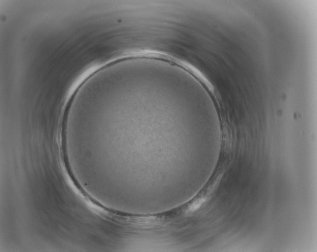 X0000080721007200612151154