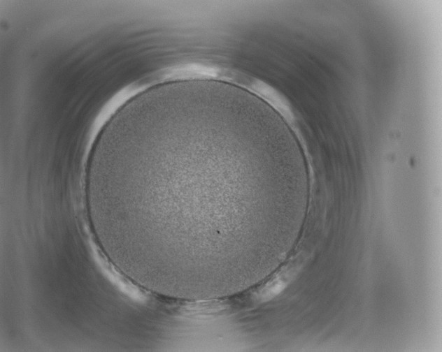 X0000080721008200612151154