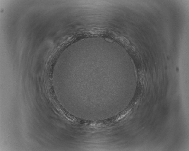 X0000080721009200612151153