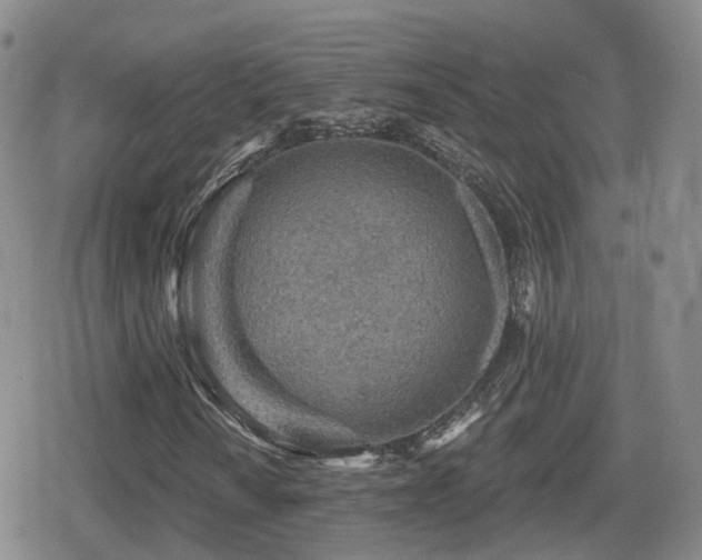 X0000080721010200612151153