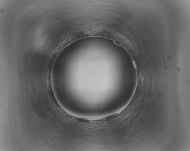 X0000080721012200612151153