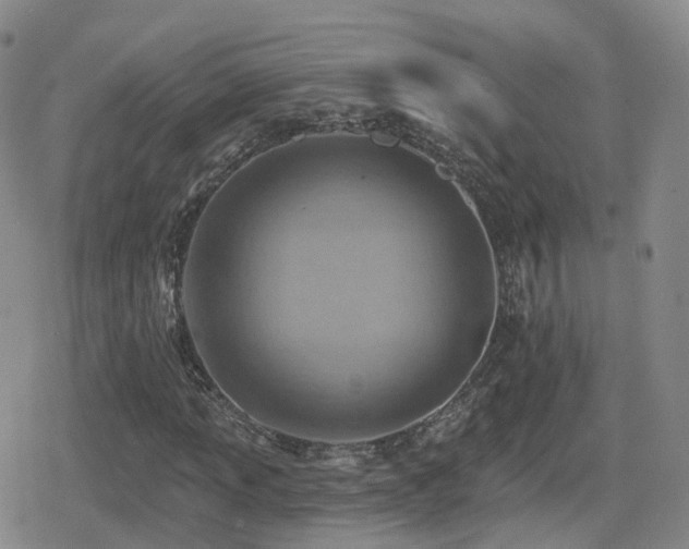 X0000080721013200612151153