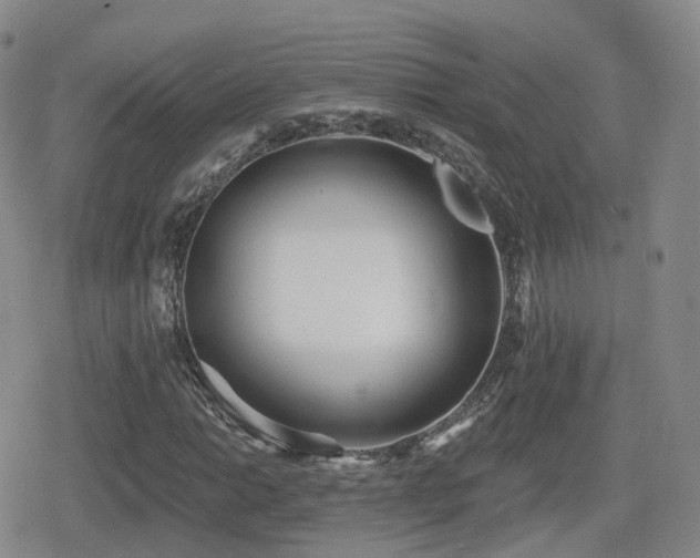 X0000080721014200612151153