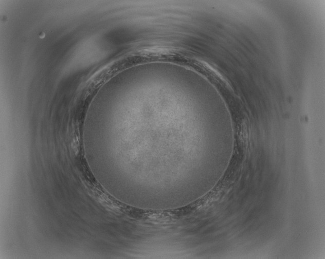 X0000080721015200612151153