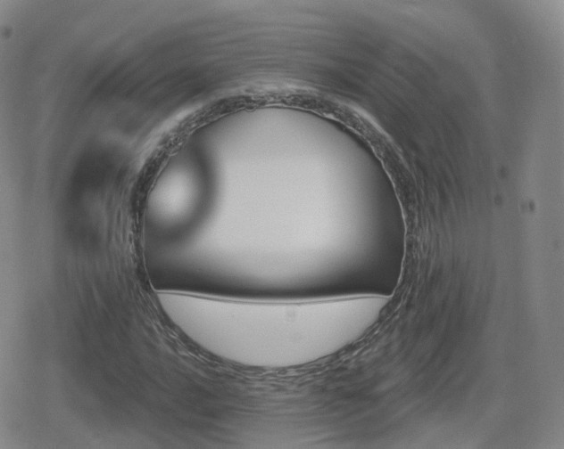 X0000080721016200612151153