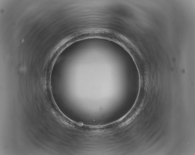 X0000080721017200612151153