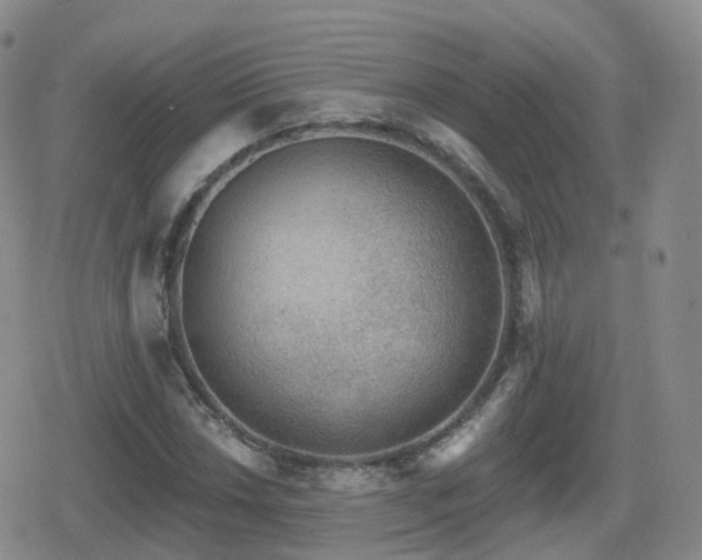 X0000080721018200612151153