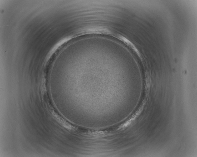 X0000080721019200612151153