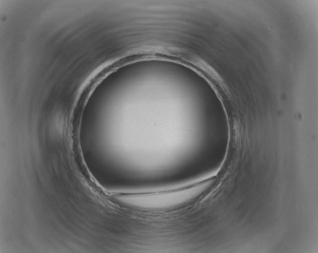 X0000080721020200612151153