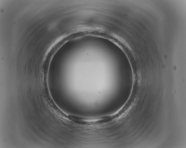 X0000080721021200612151153