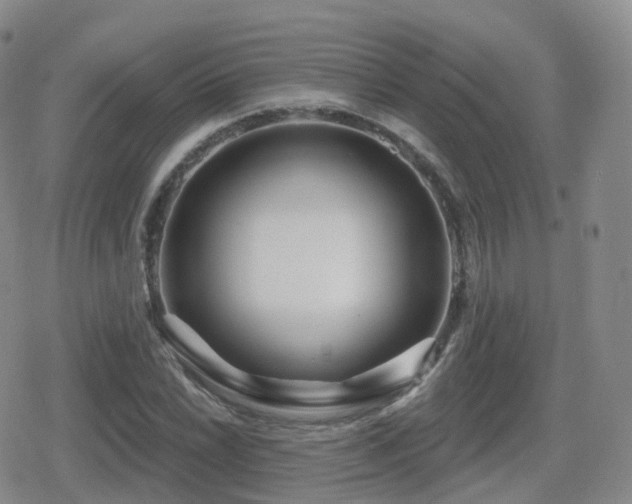 X0000080721022200612151153