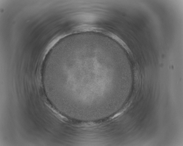 X0000080721023200612151153