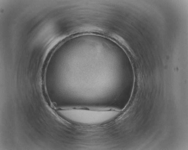 X0000080721024200612151153