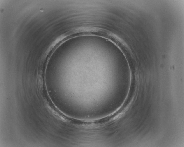 X0000080721025200612151153