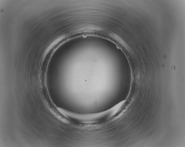 X0000080721026200612151153