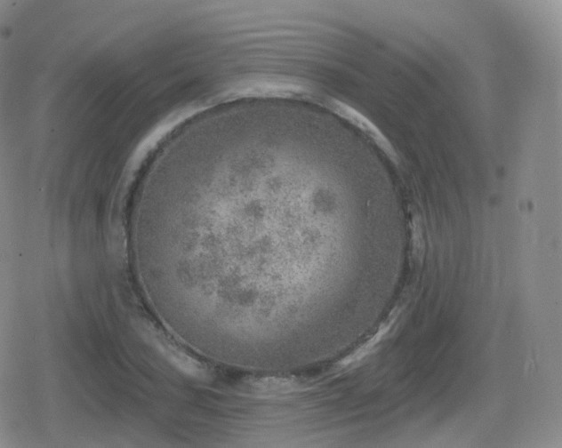 X0000080721027200612151153