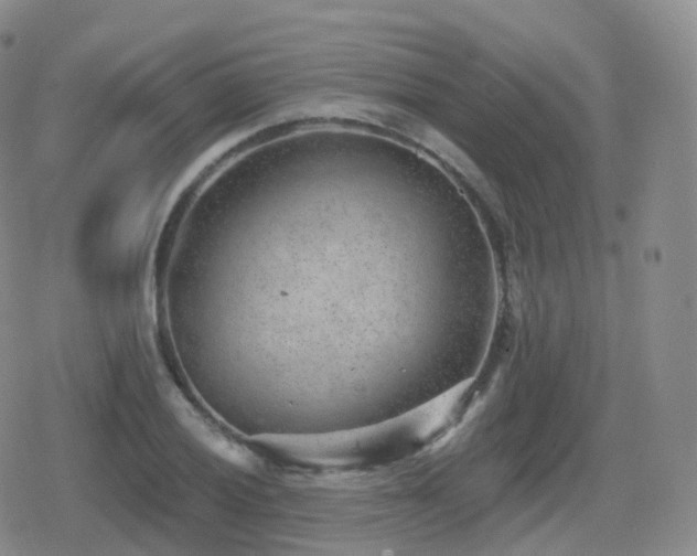 X0000080721028200612151153