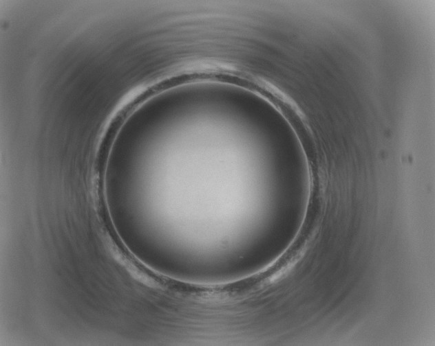 X0000080721029200612151153