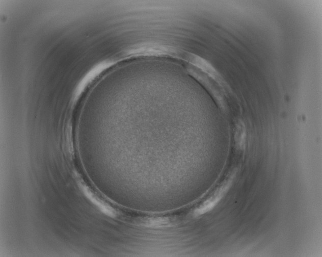 X0000080721030200612151154