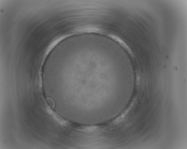 X0000080721031200612151154